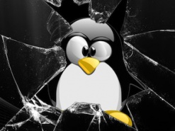 Интернет Вещей увеличивает количество вредоносного ПО для Linux