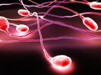 Если не получалось забеременеть!