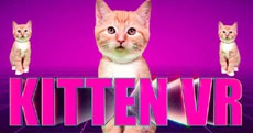 Представлен шлем виртуальной реальности для котов