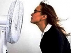 Июльская е-реклама пивом не увлекалась