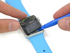 В iFixit разобрали Apple Watch и назвали часы «телефоном для муравьев»