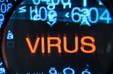 Торрент-трекеры ежемесячно заражают вирусами 12 млн компьютеров