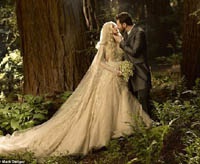 Сооснователь Facebook сыграл волшебную свадьбу в духе «Властелина колец» за 10 миллионов