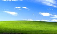 Microsoft не решилась убить Windows XP