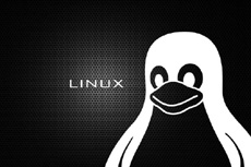 В ядре Linux исправлена уязвимость двухлетней давности