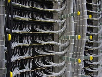 Информация о владельцах доменов в интернете может быть закрыта