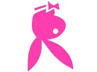 Internet "убил" Playboy?