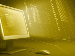 На рынке труда IT-сферы требуются  профессионалы широкого профиля