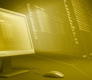 На рынке труда IT-сферы требуются  профессионалы широкого профиля