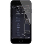 iFixit опубликовал «рентгеновские» обои для iPhone 6 и iPhone 6 Plus