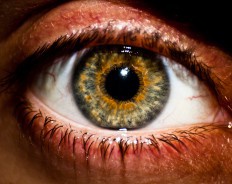 Как Google, Facebook и Apple собирают информацию о вас