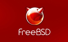 В FreeBSD исправлена опасная уязвимость в ipfilter
