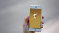 На какие безумства идут игроки Pokemon Go