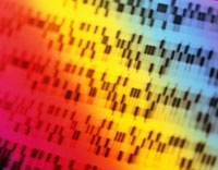 Google помогает в поиске генетического кода аутизма