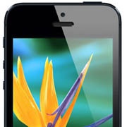 Устройства Apple могут получить CNT-дисплеи