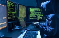 Каждую вторую корпоративную ИТ-систему может взломать неопытный хакер