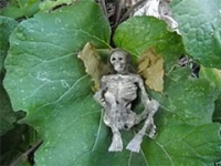 10 самых необычных лотов аукциона eBay