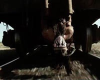 "Одинокий рейнджер" не заинтересовал пользователей социальных сетей