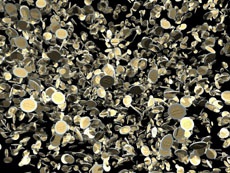 Биржу криптовалют Cryptsy взломали и ограбили