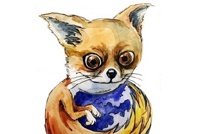 За год доля IE увеличилась, Firefox — сократилась