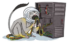 Как обезьяны мешают развитию интернета