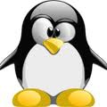 Линус Торвальдс жестко отреагировал на обнаружение ошибки в работе нового ядра