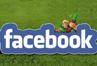 Facebook обвиняют в уходе от уплаты налогов в Ирландии