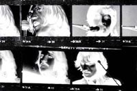 The Beatles дебютировали в российском чарте iTunes