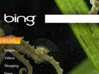 Новый поисковый движок от Microsoft