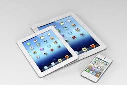 В Жулянах задержали американца с гаджетами и планшетами на 130 тыс. грн