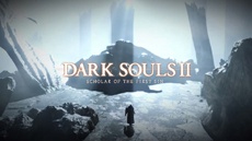 Расширенное издание Dark Souls 2 выйдет на PS4 и Xbox One в апреле 2015 года