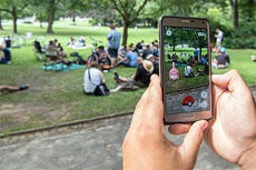 Игрокам в Pokemon GO посоветовали выгуливать приютских собак во время охоты