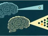 Впервые осуществлена связь мозга с мозгом через Интернет (смотрим)