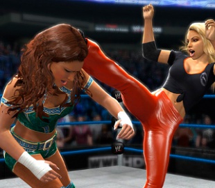 Take-Two подтвердила покупку прав на игры про рестлинг