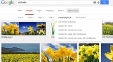 Google упростила поиск изображений с учетом условий лицензирования