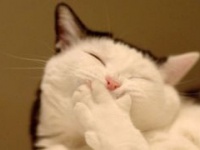 yakoketka.ru: женская социальная сеть для кокеток