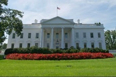 Запрос «nigga house» в Google Maps ведет в Белый дом