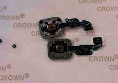 В Сети засветился сканер отпечатков Touch ID для iPhone 6