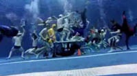 Команда по дайвингу взорвала Интернет подводным танцем
