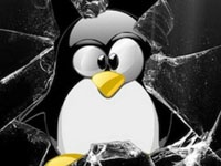 В ядре Linux обнаружены 5 уязвимостей