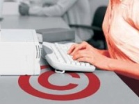 Число торрент-порталов выросло в три раза