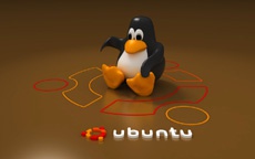 В Ubuntu 4 года имелась опасная незакрытая «дыра»