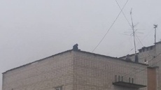 Новые подробности спасения львовского мальчика от "Синего Кита"