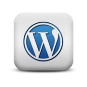 Множество сайтов на WordPress подвержены уязвимости из-за плагина