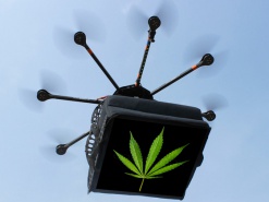 Каннабис больше не прилетит "в голубом вертолете"