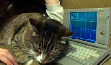 Американец записал электронную музыку с помощью MS-DOS