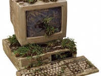 Растительный интернет