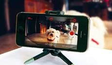 Как превратить старый смартфон в систему домашнего видеонаблюдения