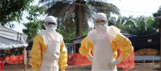 Эбола вдвойне страшней, если много соцсетей: Как работает нагнетание паники