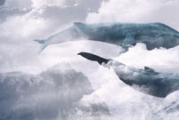 Еще одна жертва смертельных игр порезала себе вены